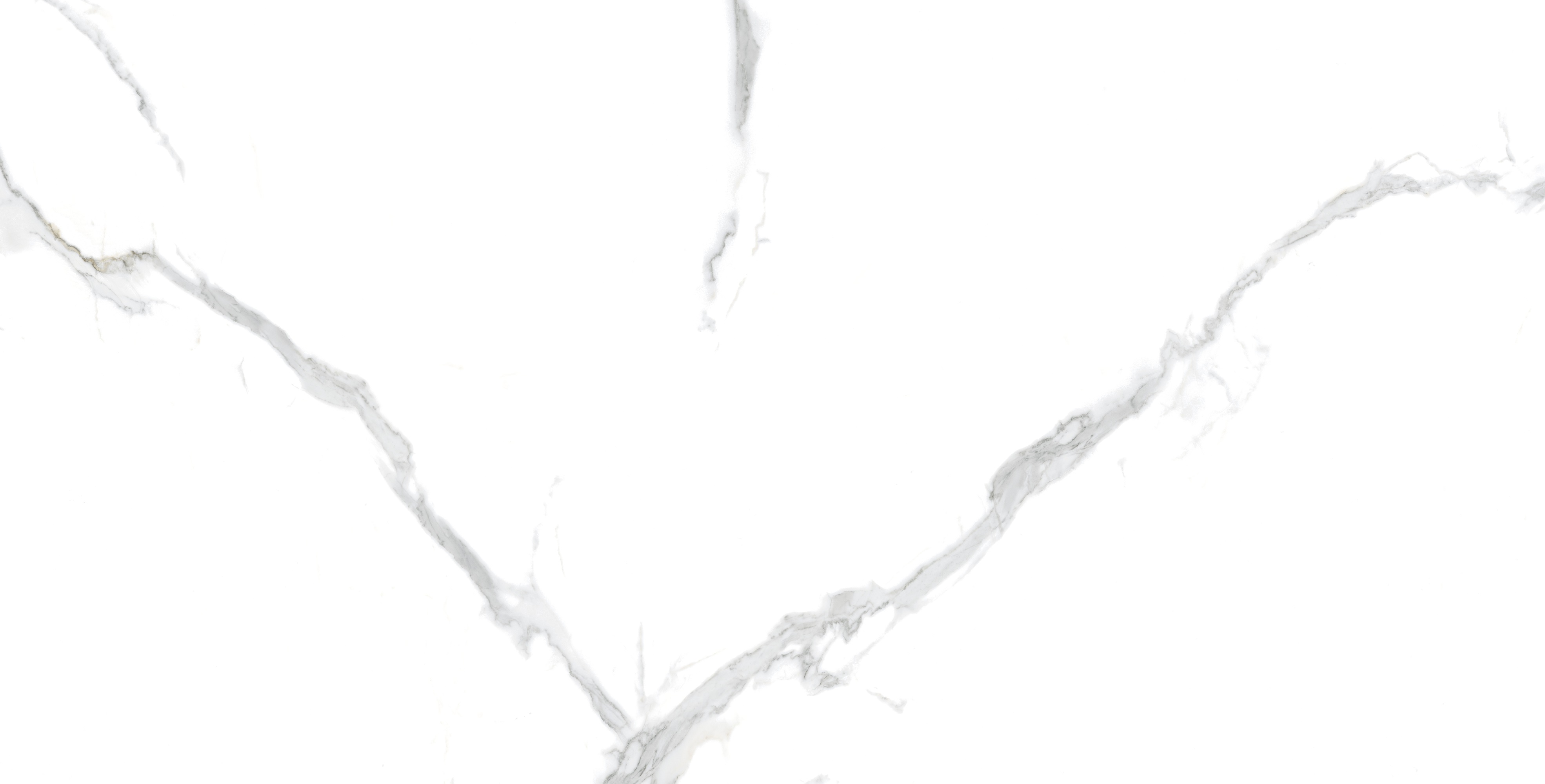 Statuario PGVT 60x120 Casati Ceramica