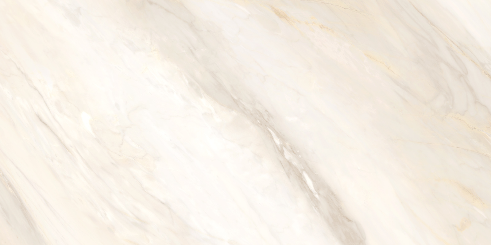 60120CAA01 Carolina Crema Sugar 600x1200x9.5 Delacora