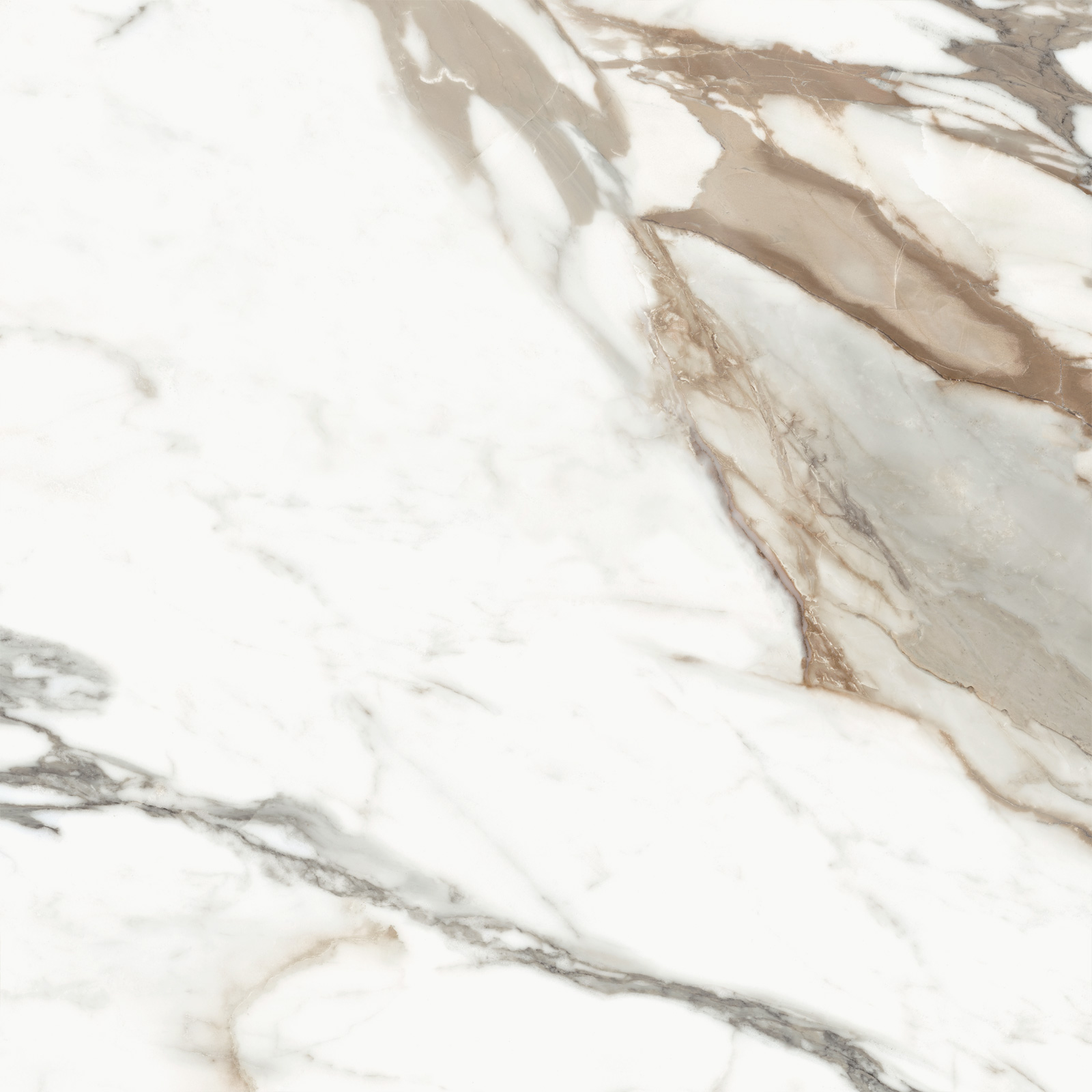 D60209M Calacatta Premium карвинг 600x600x9.5 Delacora