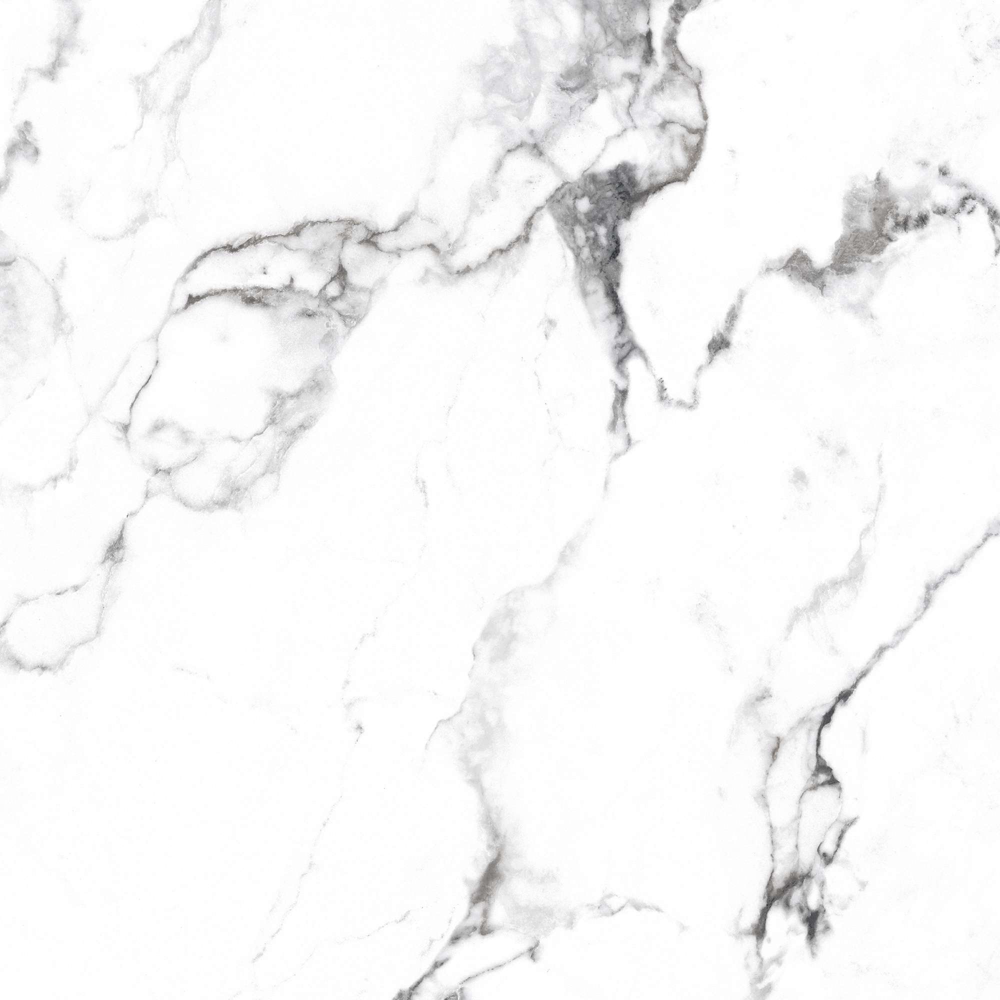 CR4006-A Borghini Silver Carving 60x60 Arcadia Ceramica