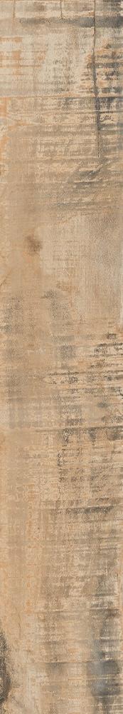R0003-WD Brichwood Forest 20x120 AVS