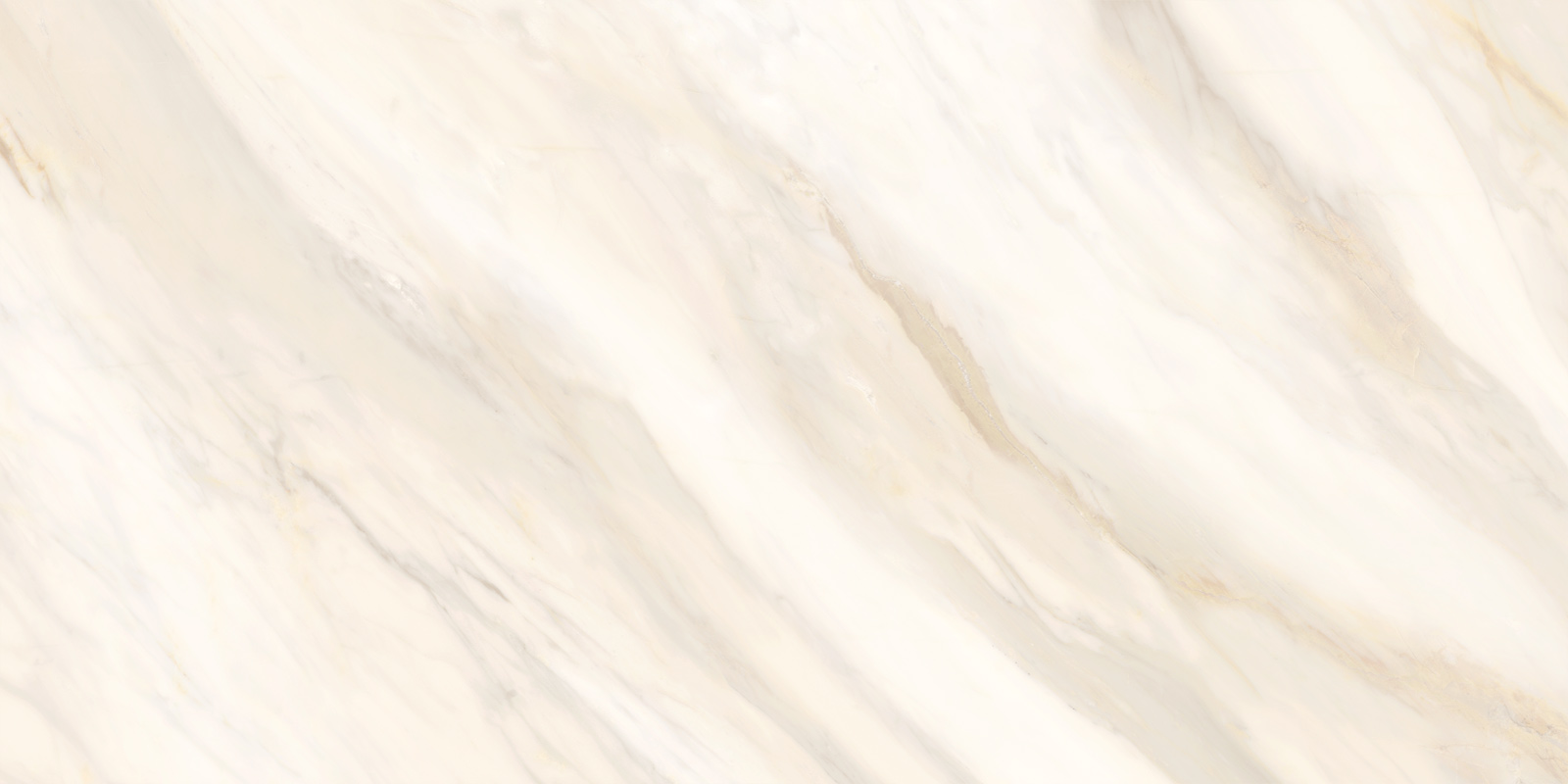 60120CAA01 Carolina Crema Sugar 600x1200x9.5 Delacora