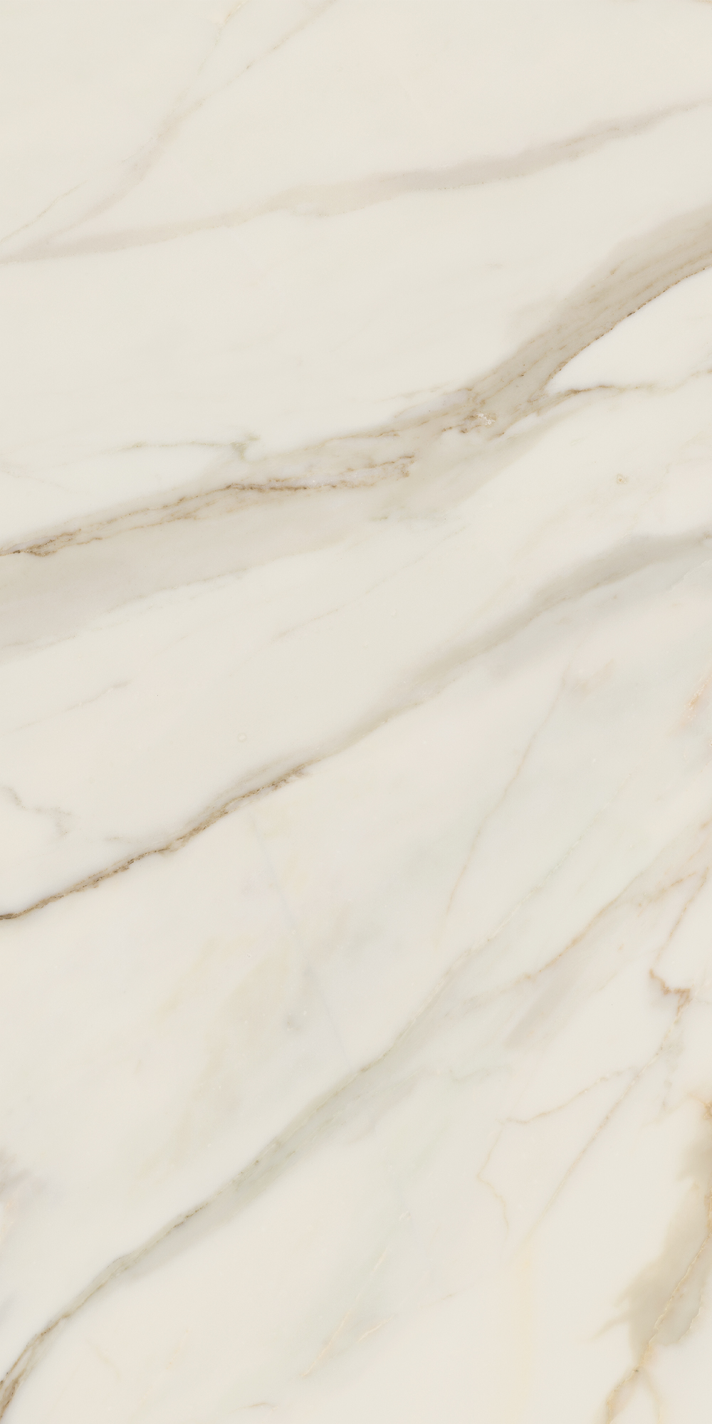 AIAT Golden White Matt RT 60x120 Caesar