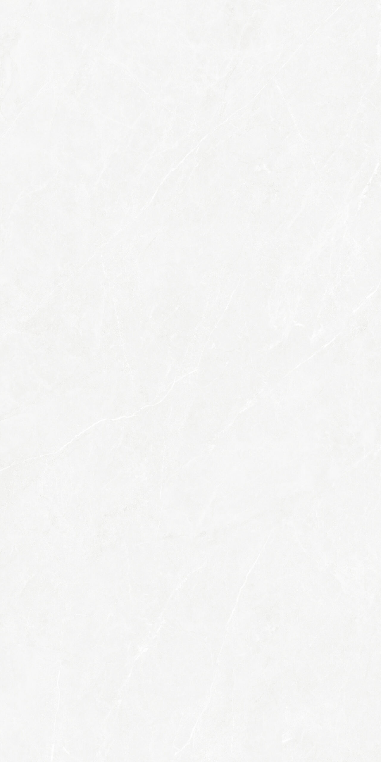 Prelino Snow Matt Punch 60x120 Maimoon Ceramica