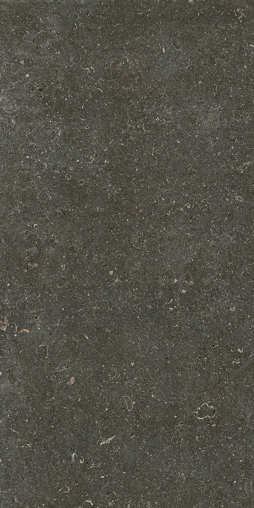 785577 Rinascenza Arena Platino Matte 6mm 60x120 Casa Dolce Casa