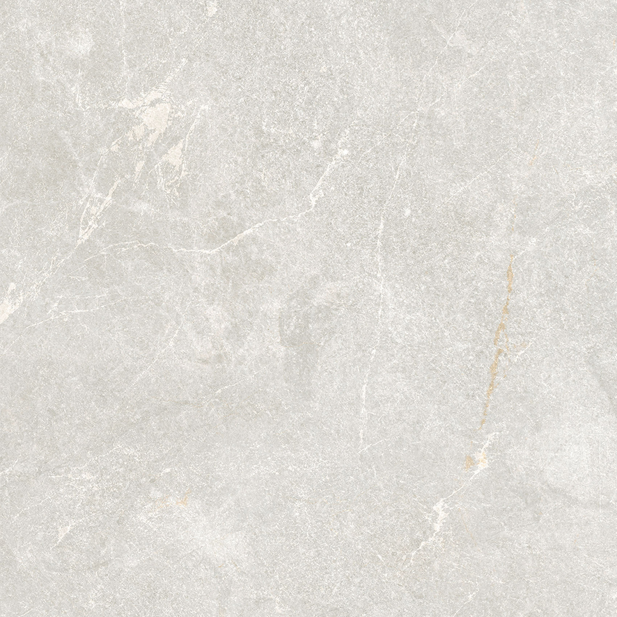 Rocky Bianco PRO светло-серый матовый R10GR 60х60 Laparet