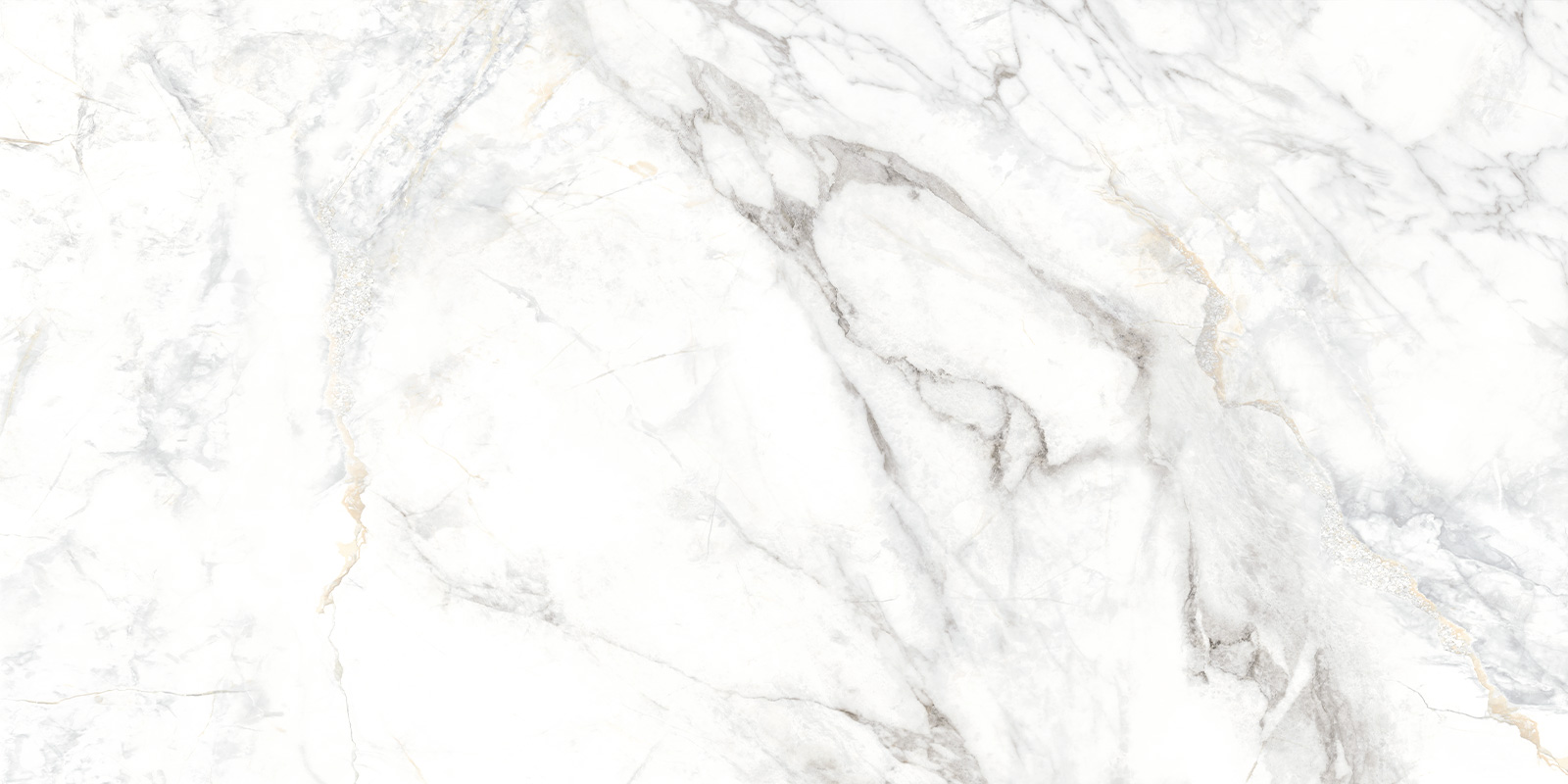 D120242M Bahamas Carrara матовый 600x1200x9.5 New Trend