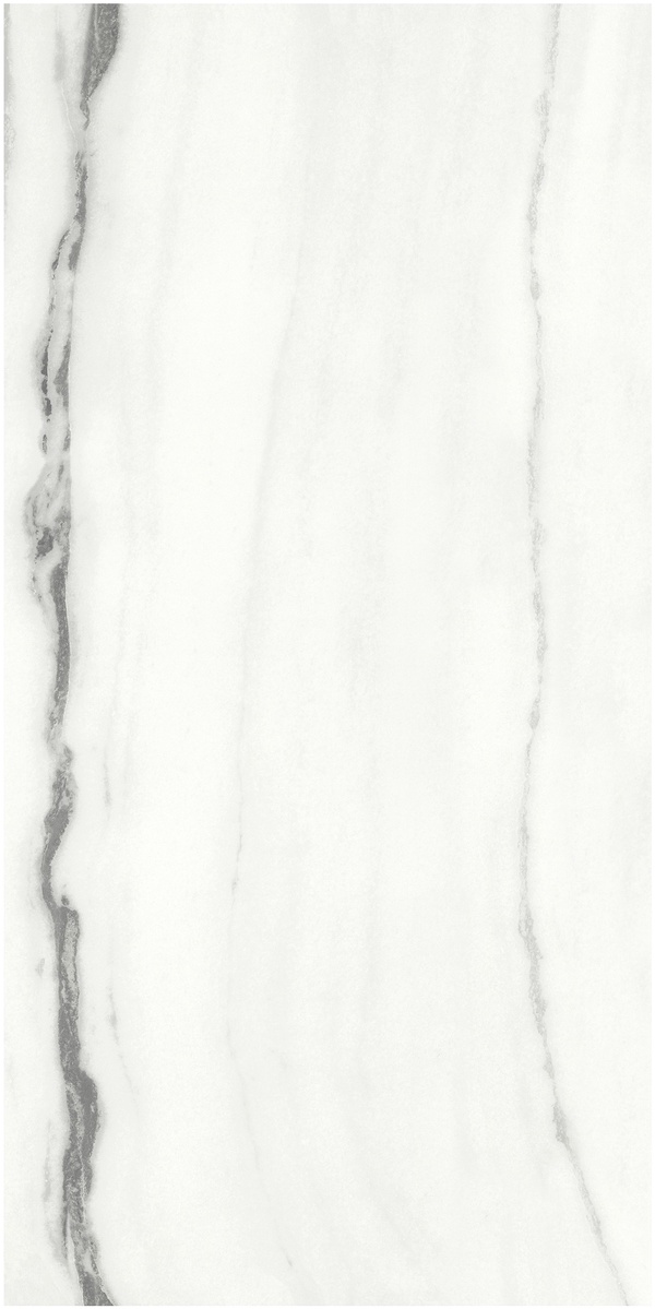 F918G10101 Panda White glossy 90x180 FMAX