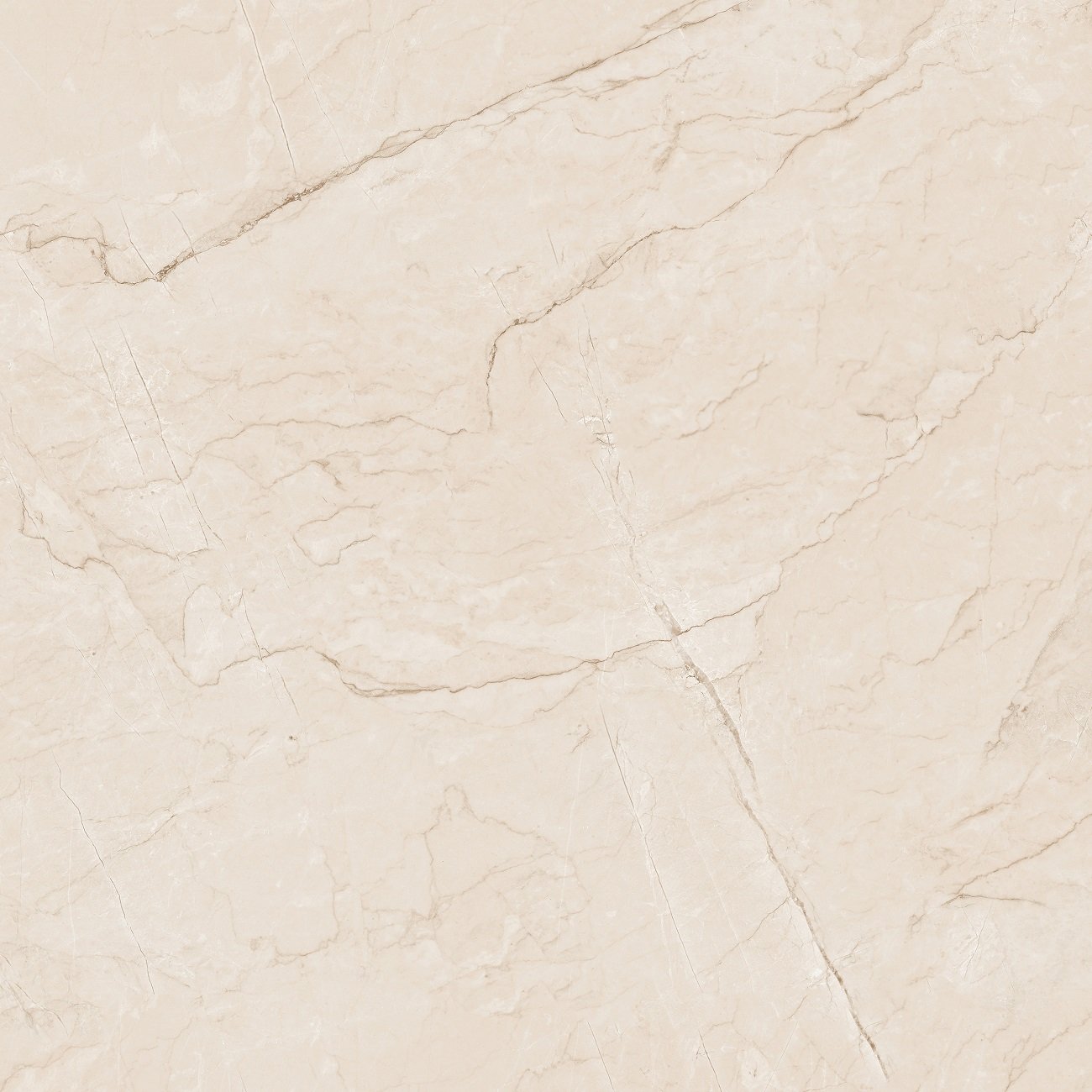 Lizzard Ivory Shiny Sugar 60x60 Ocean-Ceramic