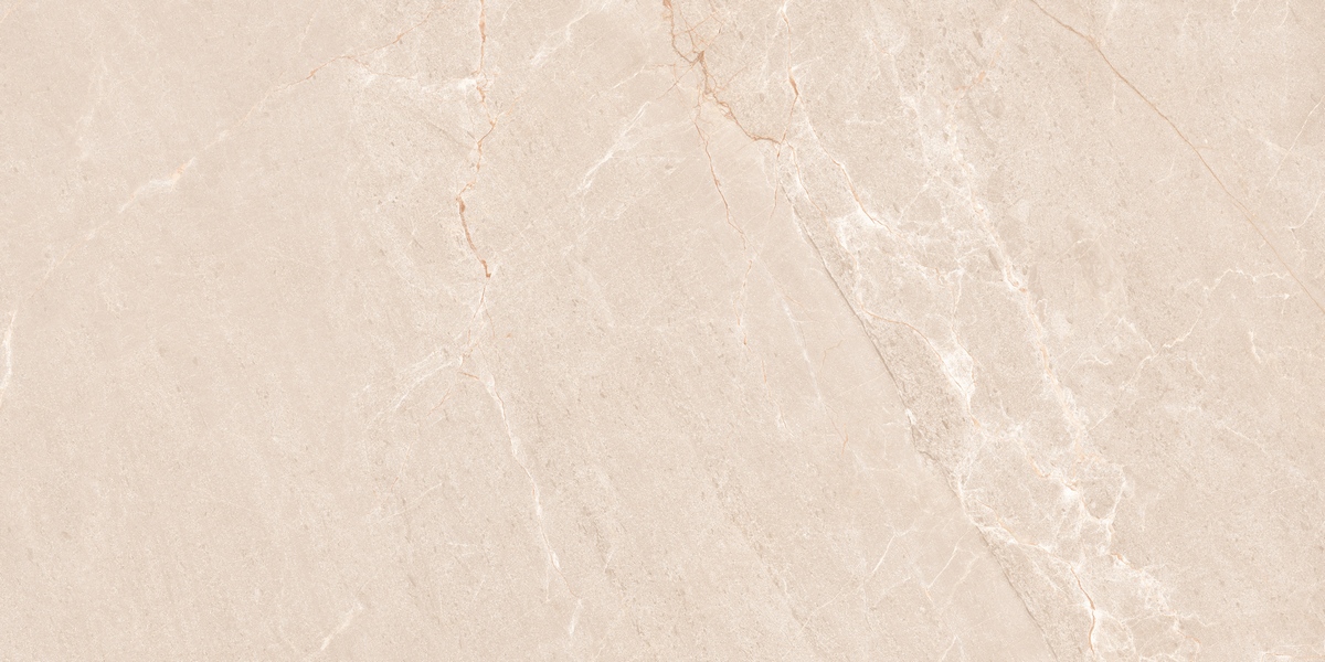 N20554 Persian Beige Matt 60x120 Neodom