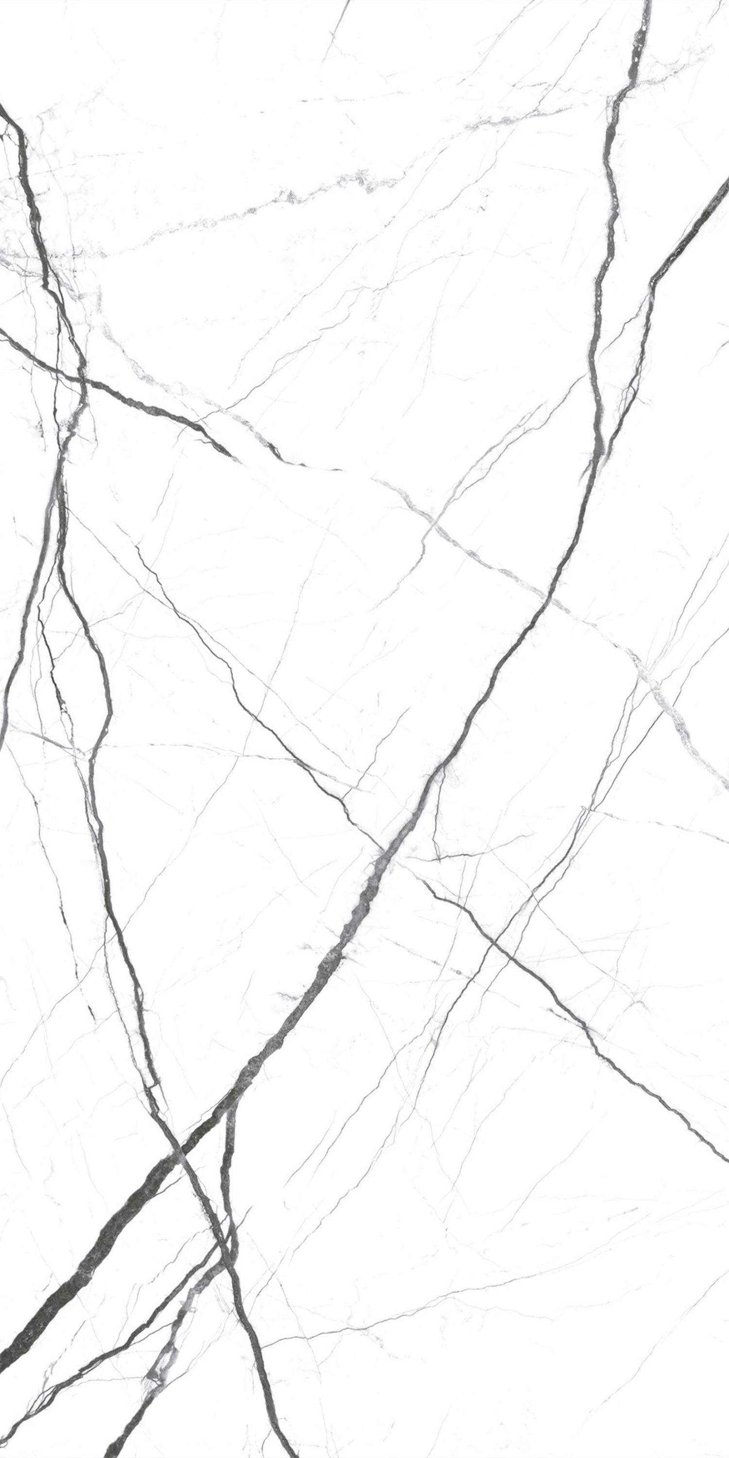 Atlantis Blanco Sugar Carving 60x120 Realistik