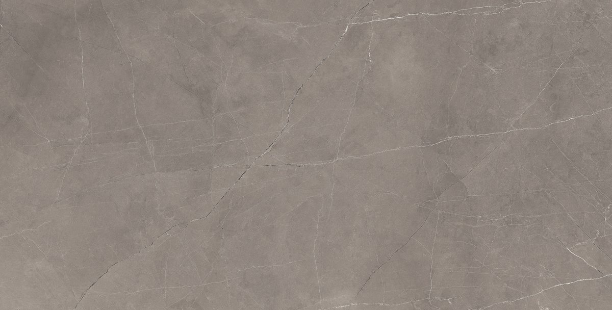 Splash Grey серый 60х120 Laparet