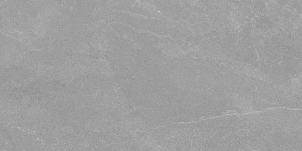 Archie Grey Pro серый матовый R10GR STR 60х120 Laparet