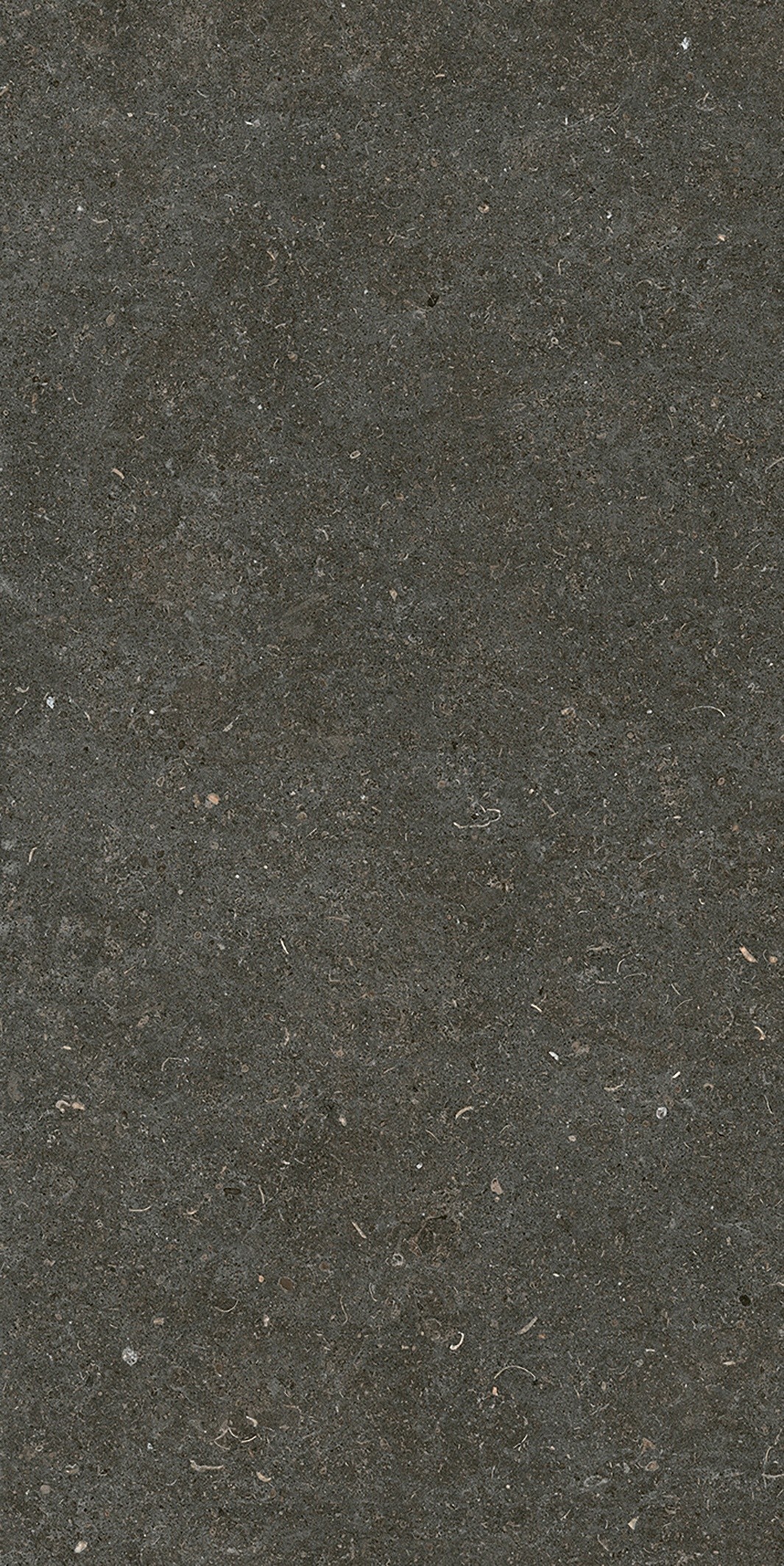 785577 Rinascenza Arena Platino Matte 6mm 60x120 Casa Dolce Casa фото 5