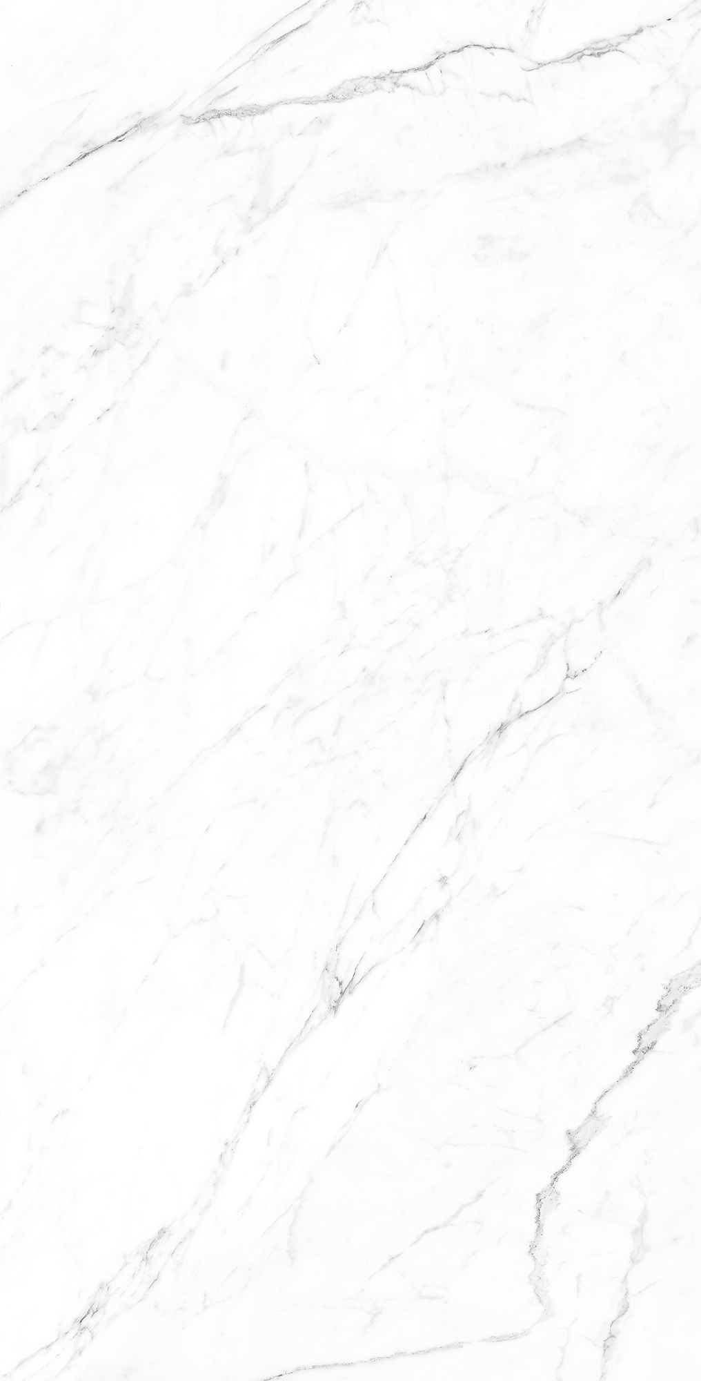 CP4003-A Coralina White Carving Pro 60x120 Arcadia Ceramica