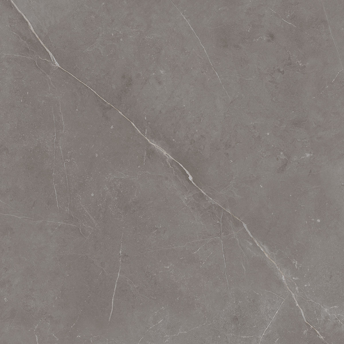 NL03 Nolana Dark Grey Неполированный Рект. 60x60x9  Estima фото 16