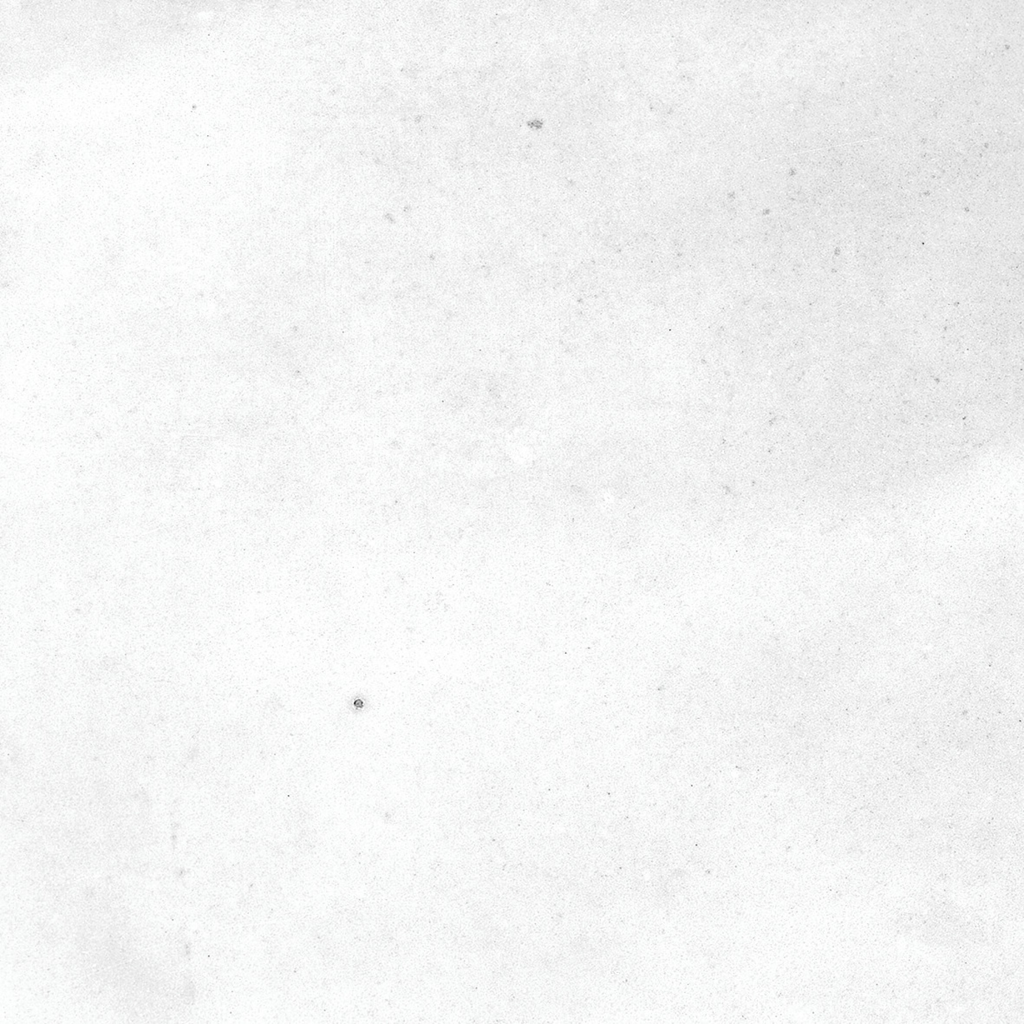 40850 Afra White/10,7X10,7/R 10,7x10,7 Harmony фото 14
