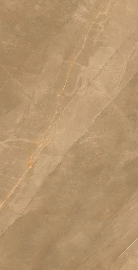 Eco Marble Royalish Brown 120x60 Artcer