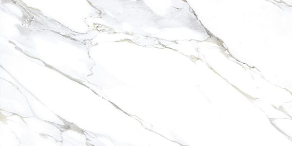 Monster White 60x120 Gravita