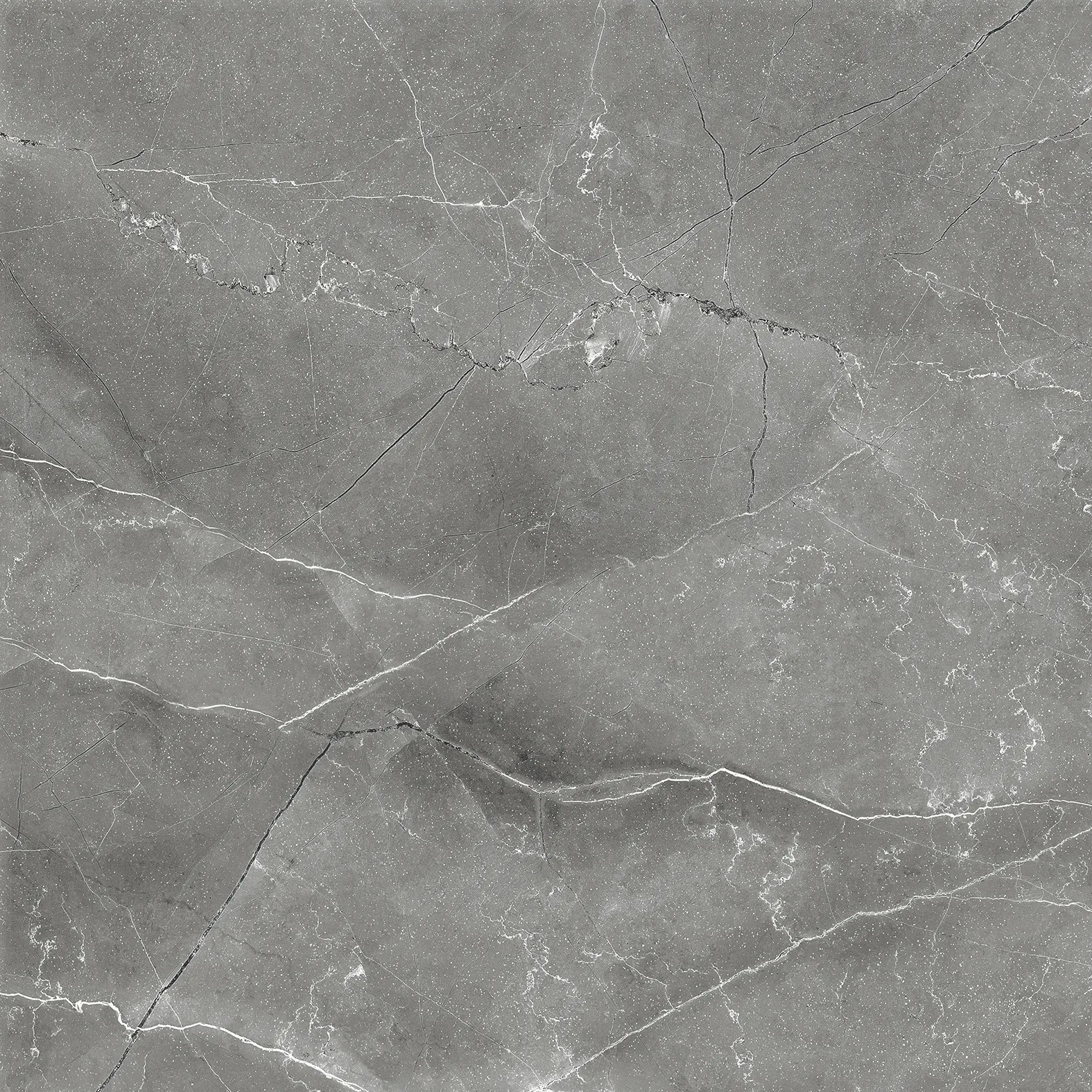 CR6011-A Pulpis Nero Carving 60x60 Arcadia Ceramica