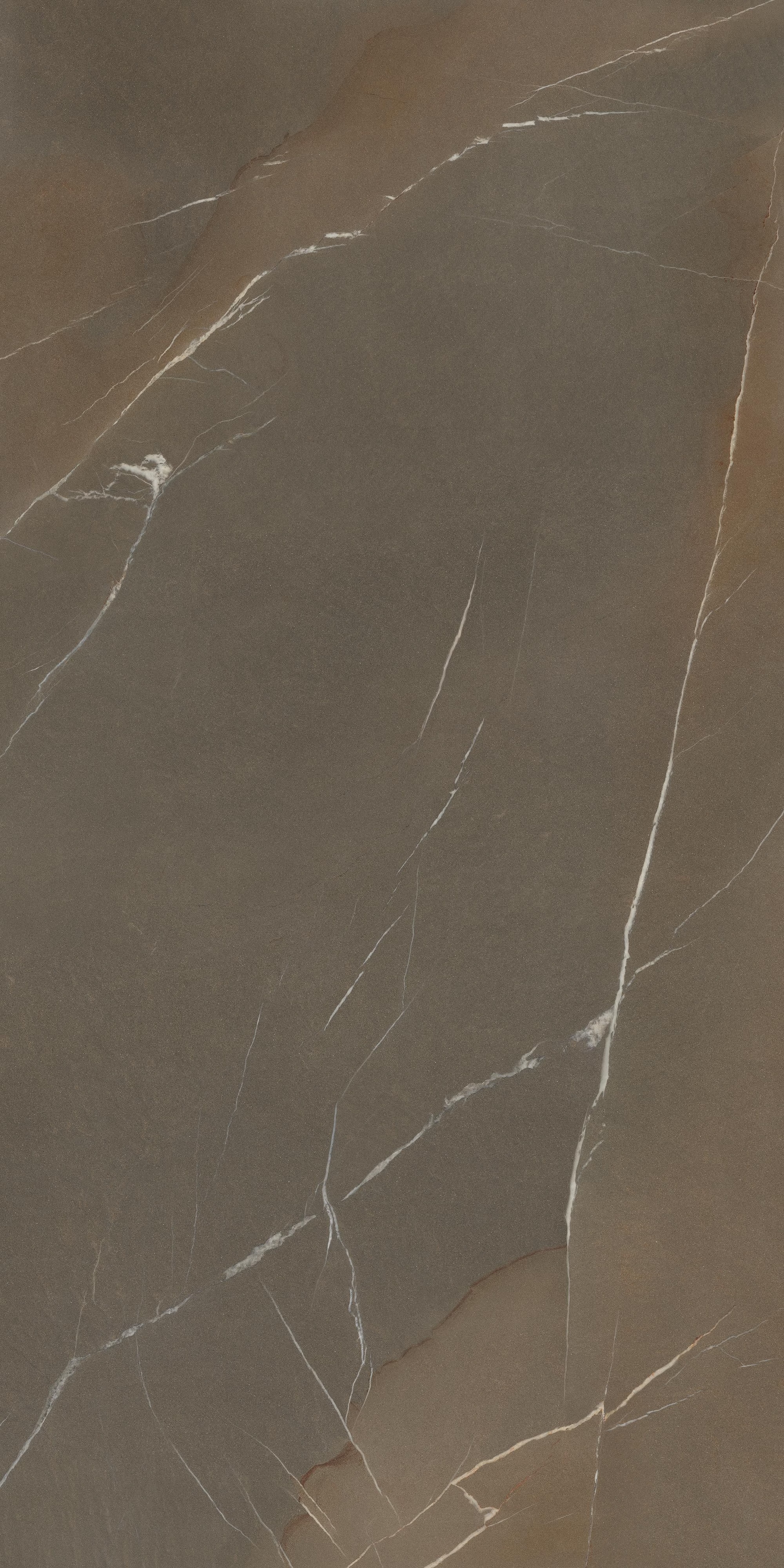 LAMF009301_IT In-side Pietra Piasentina Taupe Fiam 20+ 1620x3240 Laminam