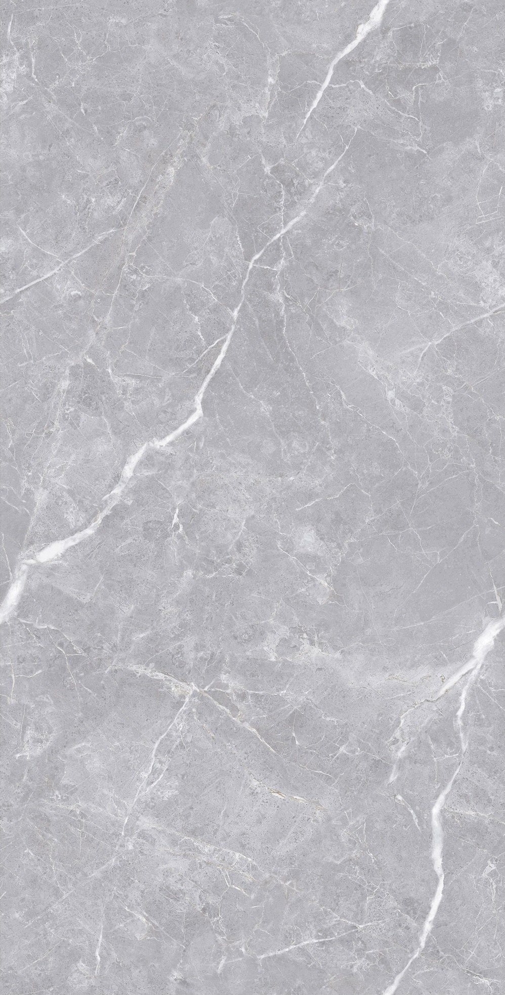 Luanda Polished Silver Carving 60x120 Realistik фото 5