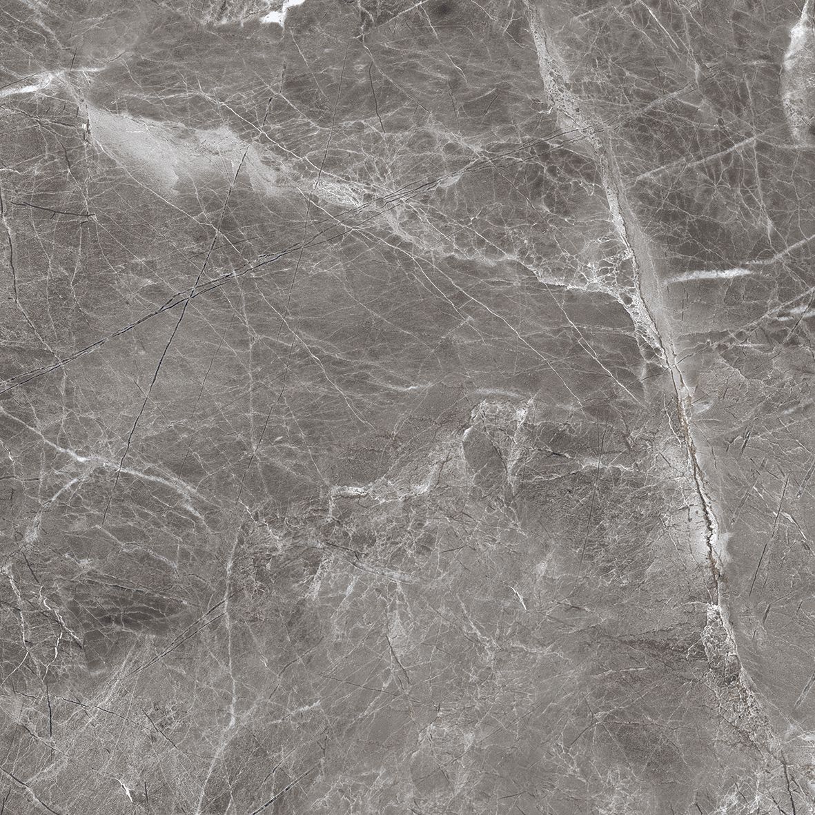 Шэдоу Темно-серый матовый 60x60 Realistik фото 10