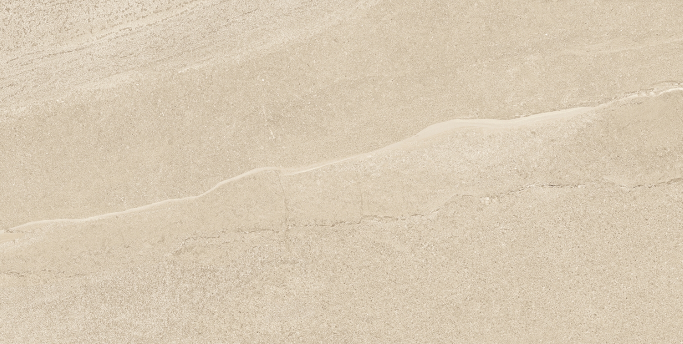 Eddystone Arena Matt 60x120 Geotiles