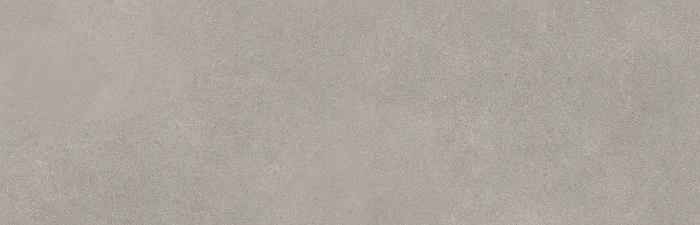 Mediterranea Gris R 31,5x100 Undefasa