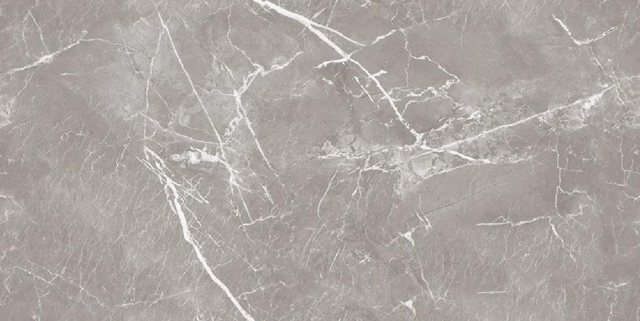 Charm Grey Polish 60x120 Kevis