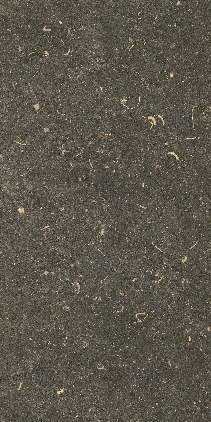 785491 Rinascenza Arena Platino Matte 30x60 Casa Dolce Casa фото 6