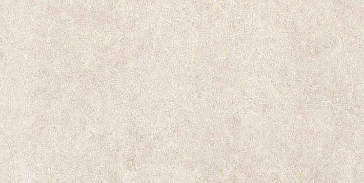 766621 Elemental White Sandstone Luc Ret 30x60 Cerim