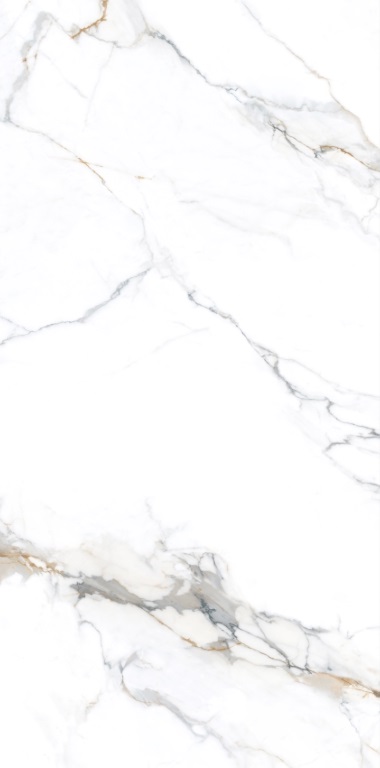 NTT3001P Carrara Gold 120x240 NT Ceramic