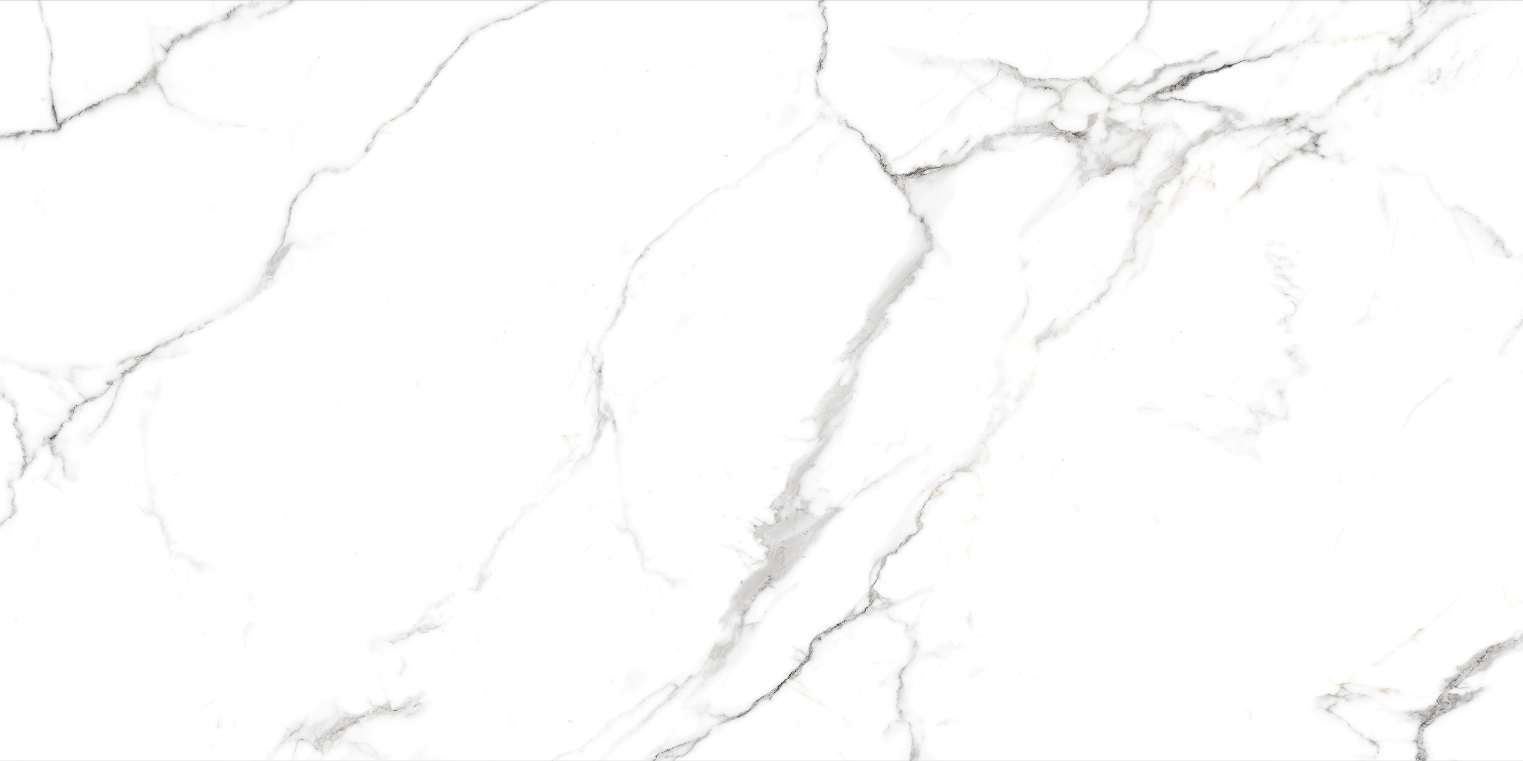Сlassic Statuario Matt 60x120 Casati Ceramica