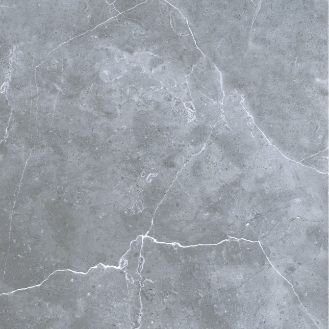 GRS02-16 Petra Northern Silver 60x60 Gresse