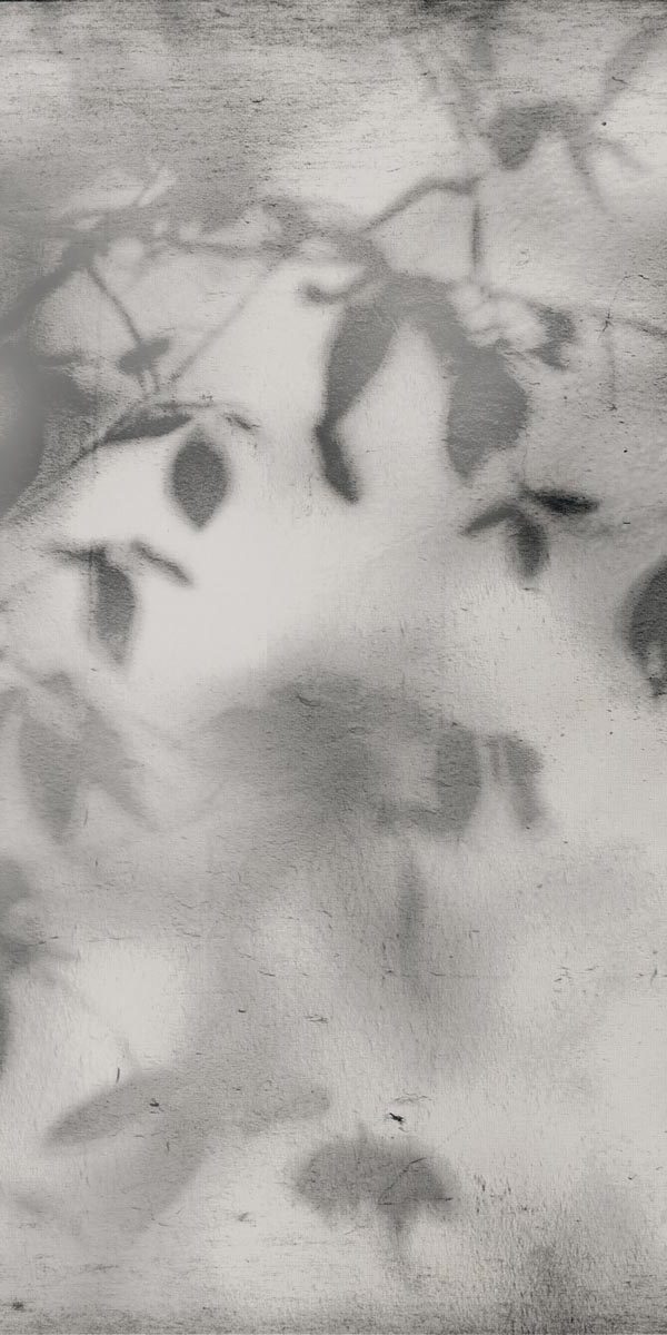 PF60012582 Art Walls Shadow Nat R 60x120 Flaviker