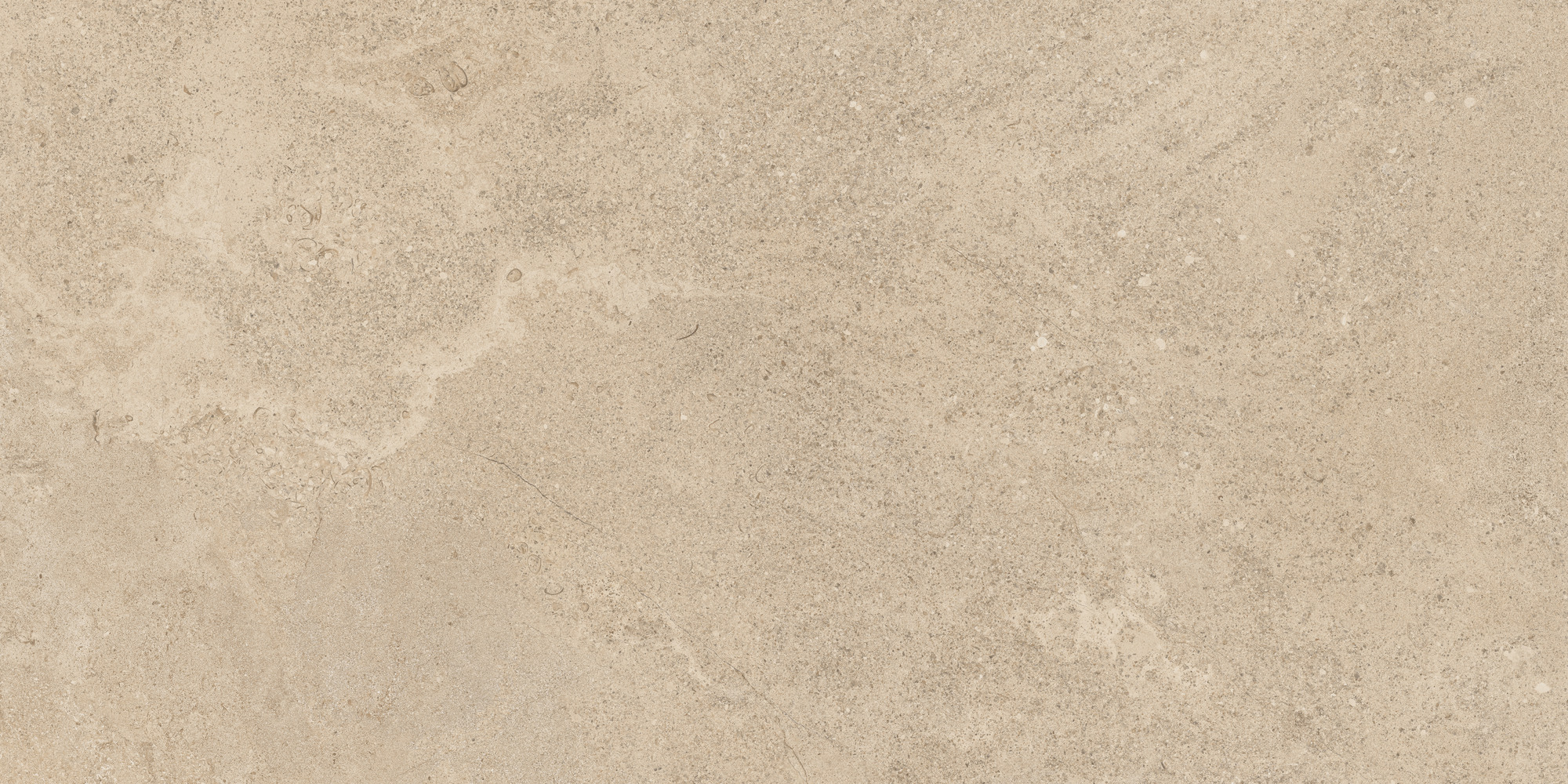 Dorset Sand Rec. 60x120 TAU Ceramica фото 6