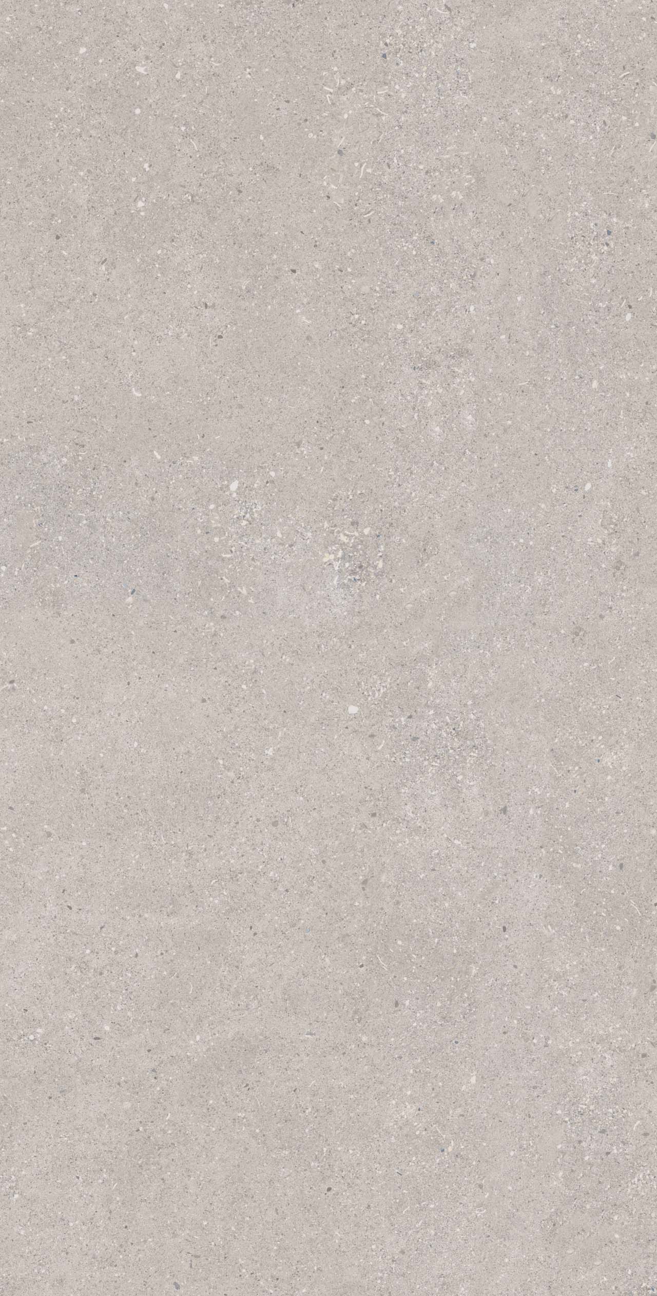 CE02 Спенс Светло-серый Структурированный Рект 60x120x9 Estima фото 4