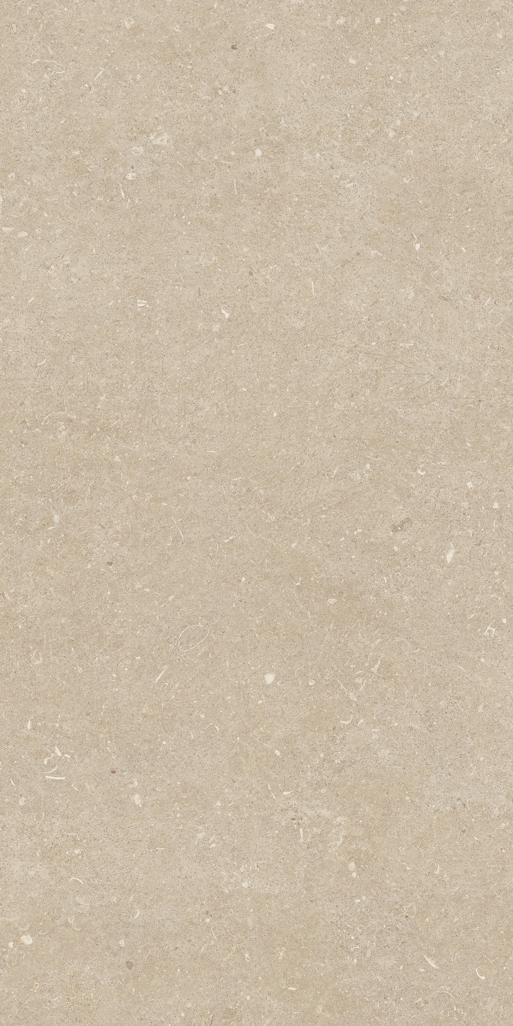 785493 Rinascenza Arena Conchiglia Grip 60x120 Casa Dolce Casa фото 7