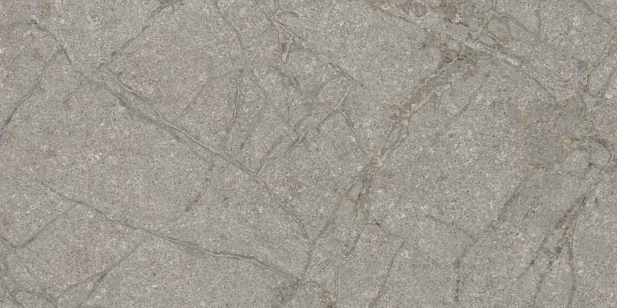 PF60011858 Supreme Memories Grey Soapstone Ant Ret 60x120 Flaviker