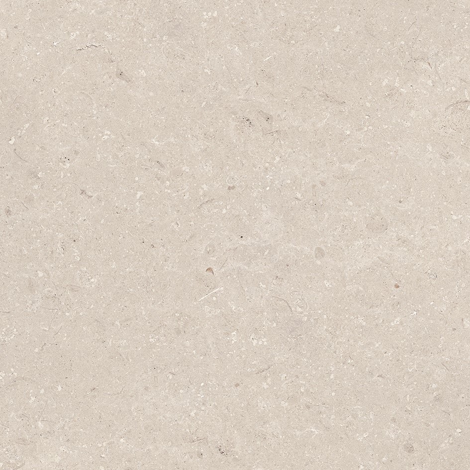 100330177 Coral Caliza L 80x80 Porcelanosa фото 3