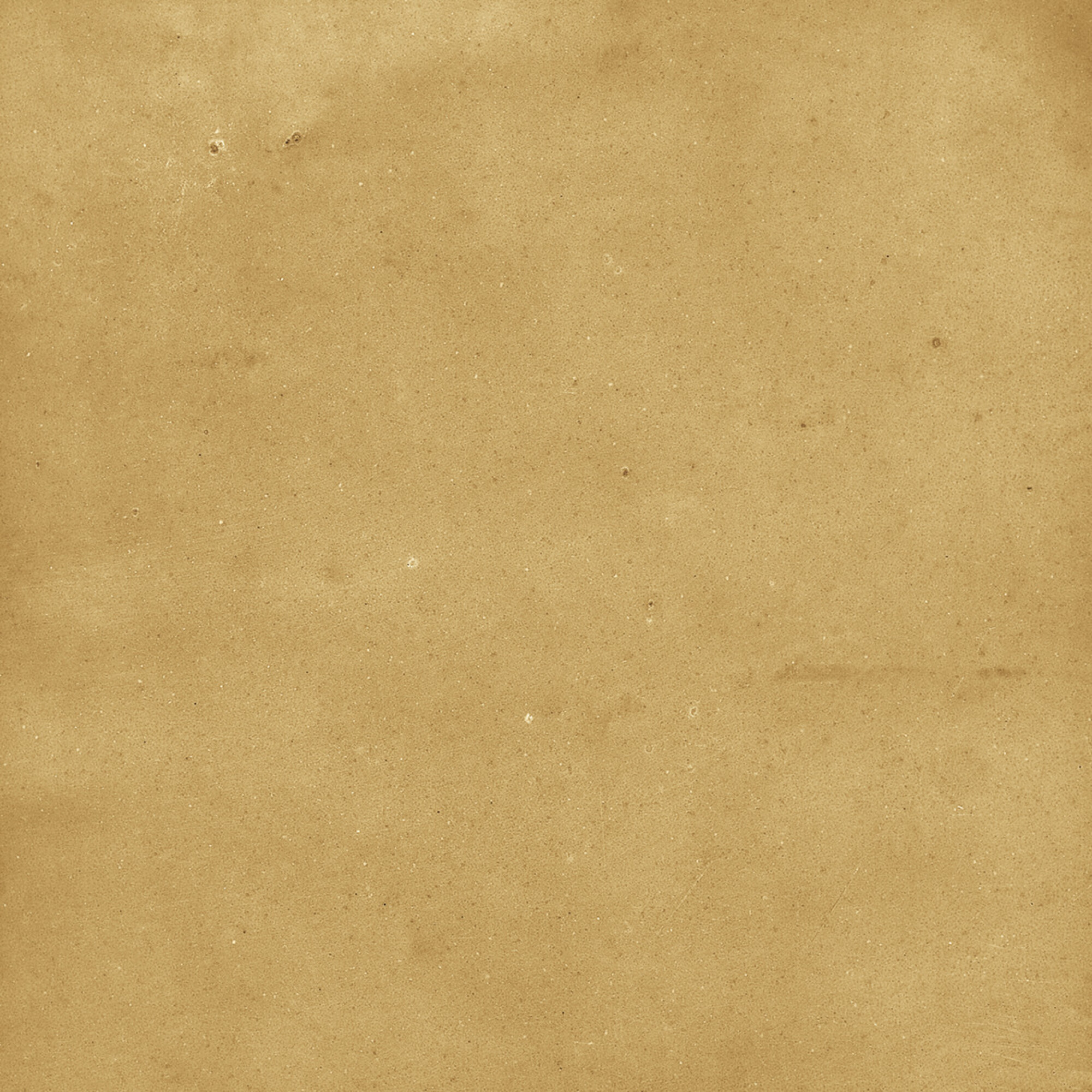 43288 Samira Gold 10x10 Harmony фото 48