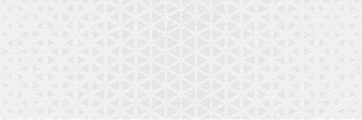 Renea Nieve 25x75 VIVES