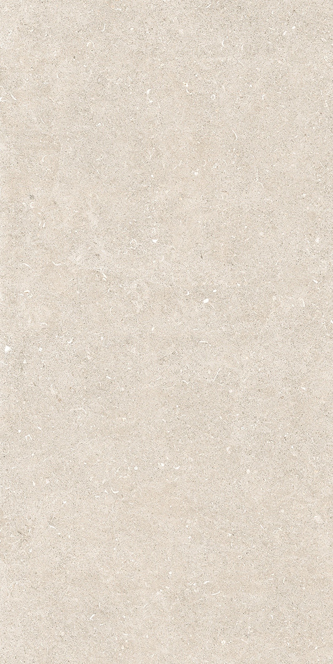 785574 Rinascenza Arena Bianco Antico Matte 6mm 60x120 Casa Dolce Casa фото 2