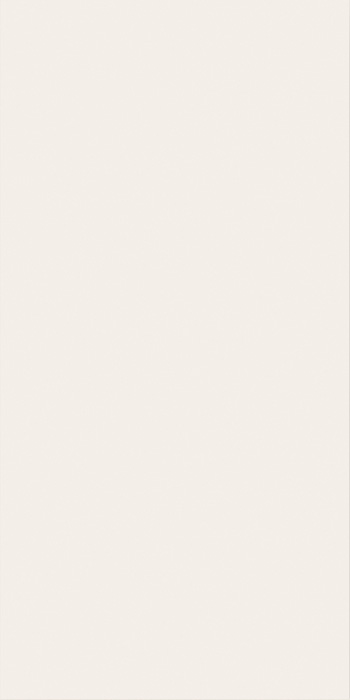 600010002159 White Mat 40x80 Italon