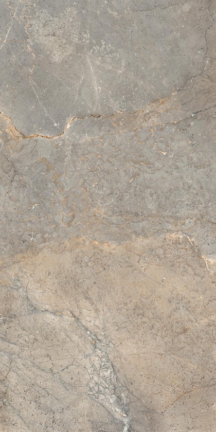LGXAL35 Anthology 03 Earth Nat. RT 9.5mm 60x120 Lea Ceramiche
