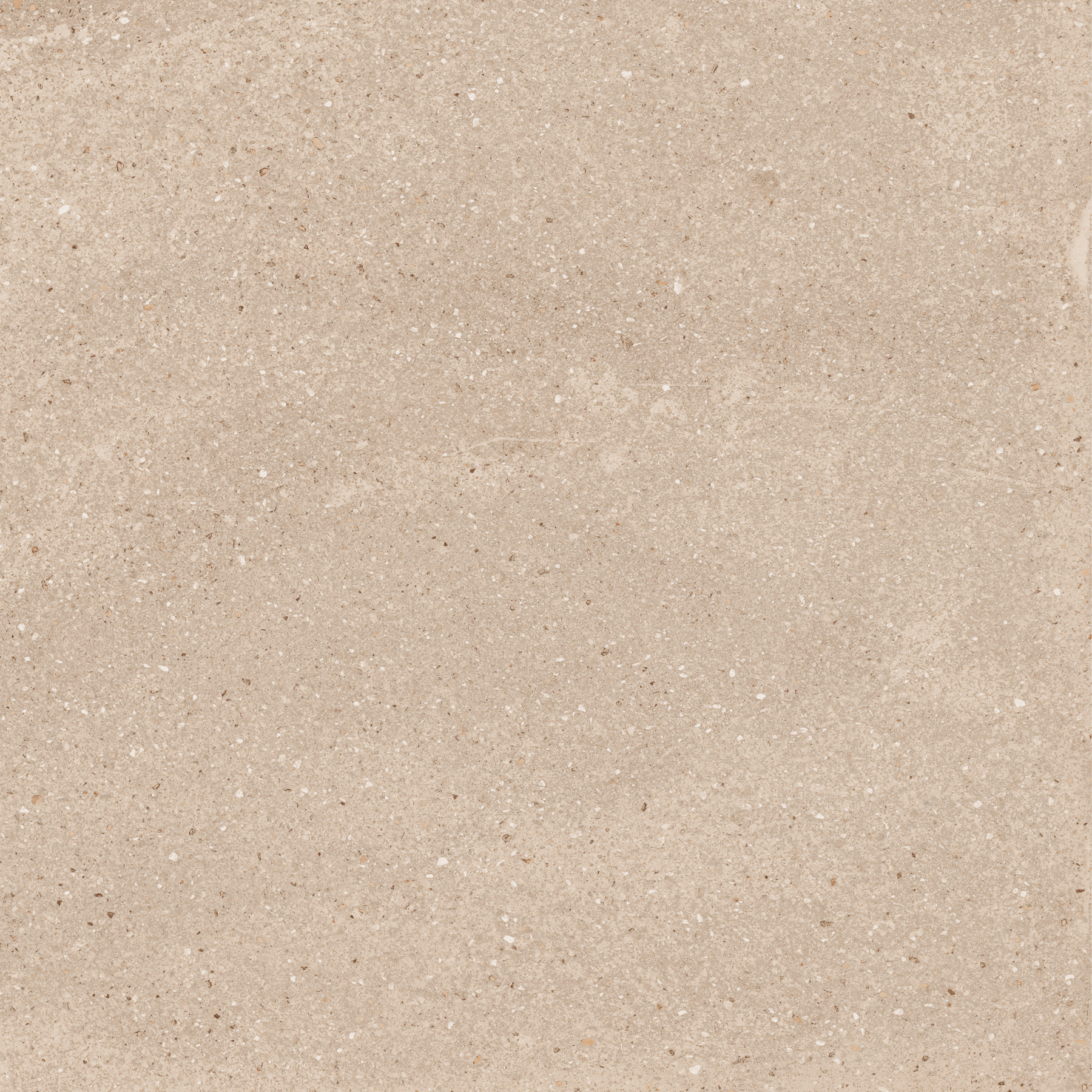 EX-205 Treviso Beige Матовая рельефная R11 60x60 Creanza фото 9
