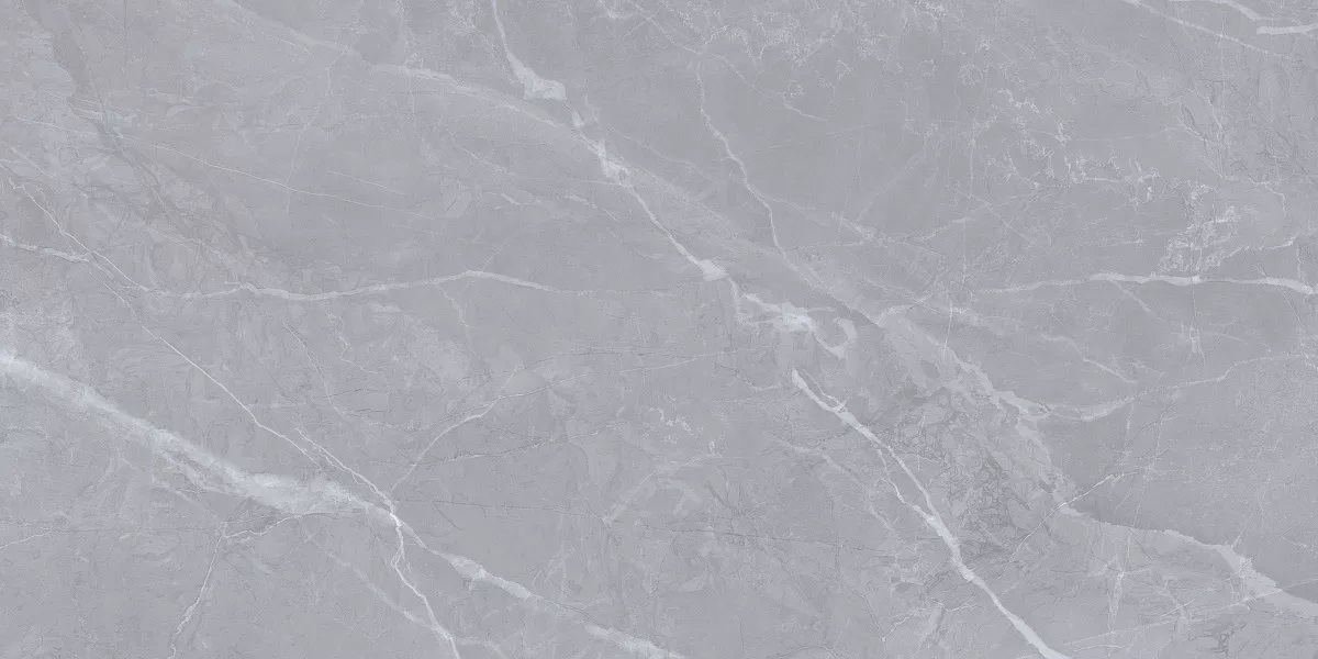 Clovia Gris Glossy 60x120 Art Ceramic