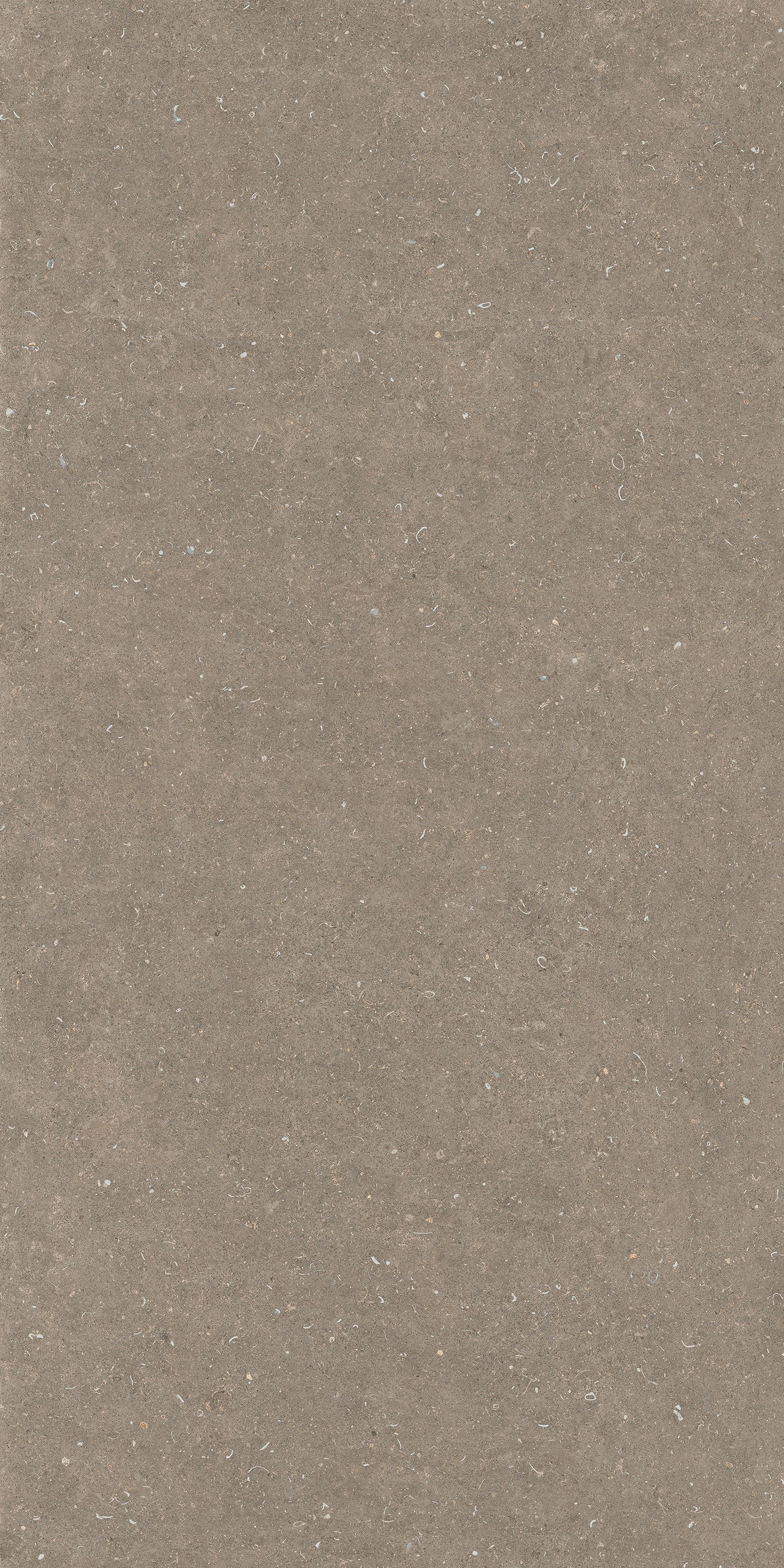 785584 Rinascenza Arena Pietra Matte 6mm 120x240 Casa Dolce Casa фото 2