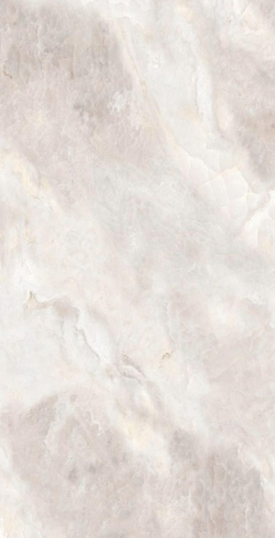 Onyx Clanton Rex pol. 60x120 Saans фото 7